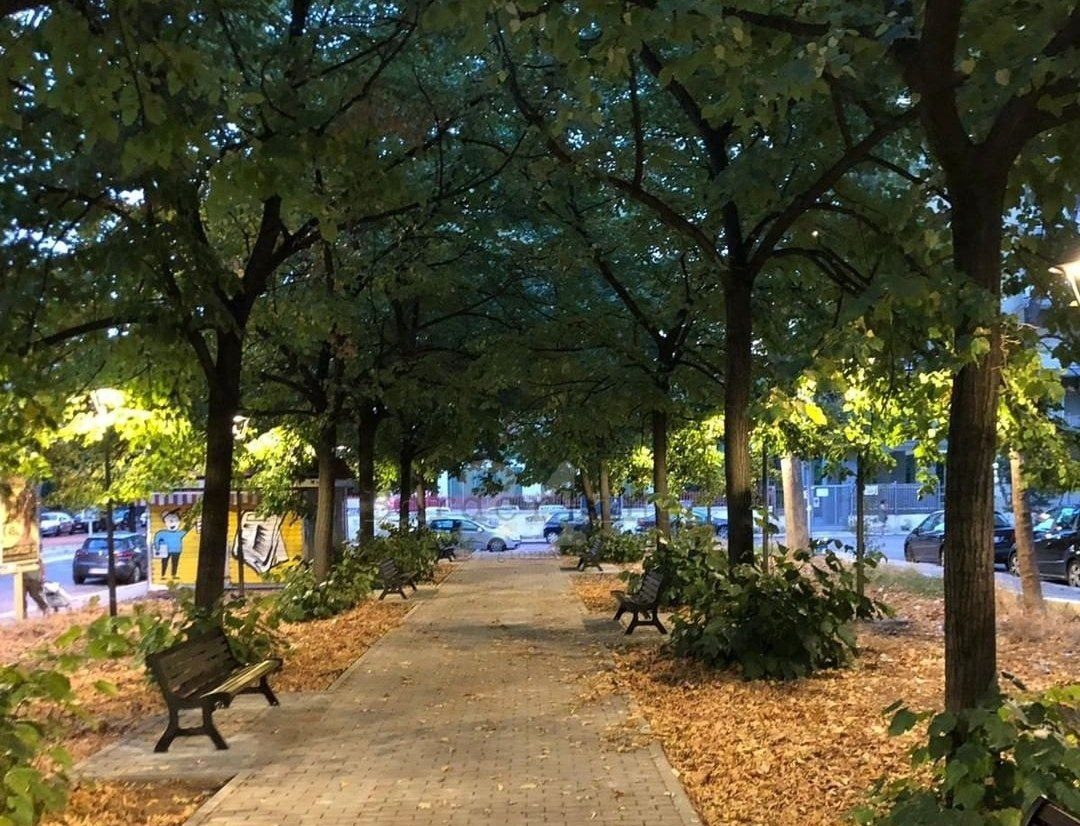 Foto di un viale alberato all'interno di un parco